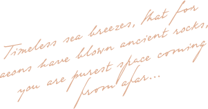 https://www.galeriedesfetes.com/wp-content/uploads/2020/10/floating_image_02.png