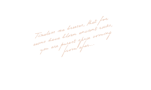 floating_text https://www.galeriedesfetes.com/wp-content/uploads/2020/12/floating_text.png